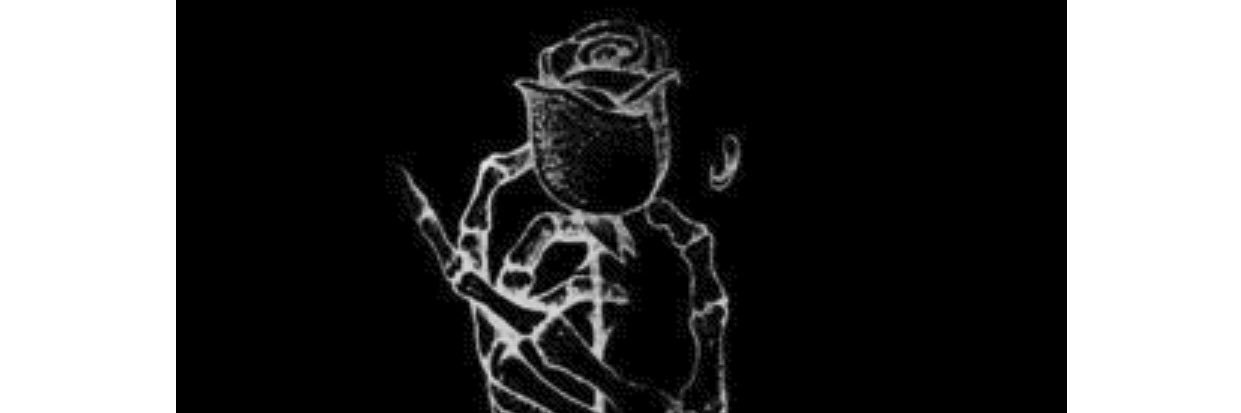 chance_austen's profile banner image