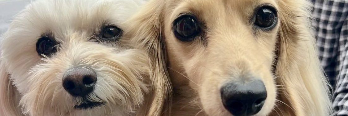 まめあず母 banner