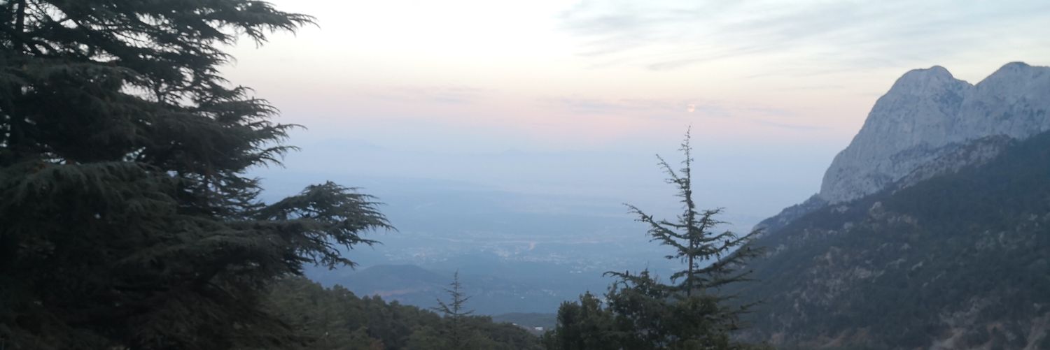 Tolgaaslan's profile banner image