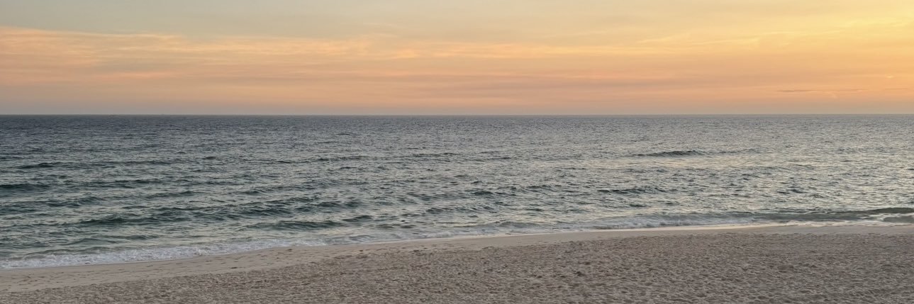 _delfimargaria's profile banner image