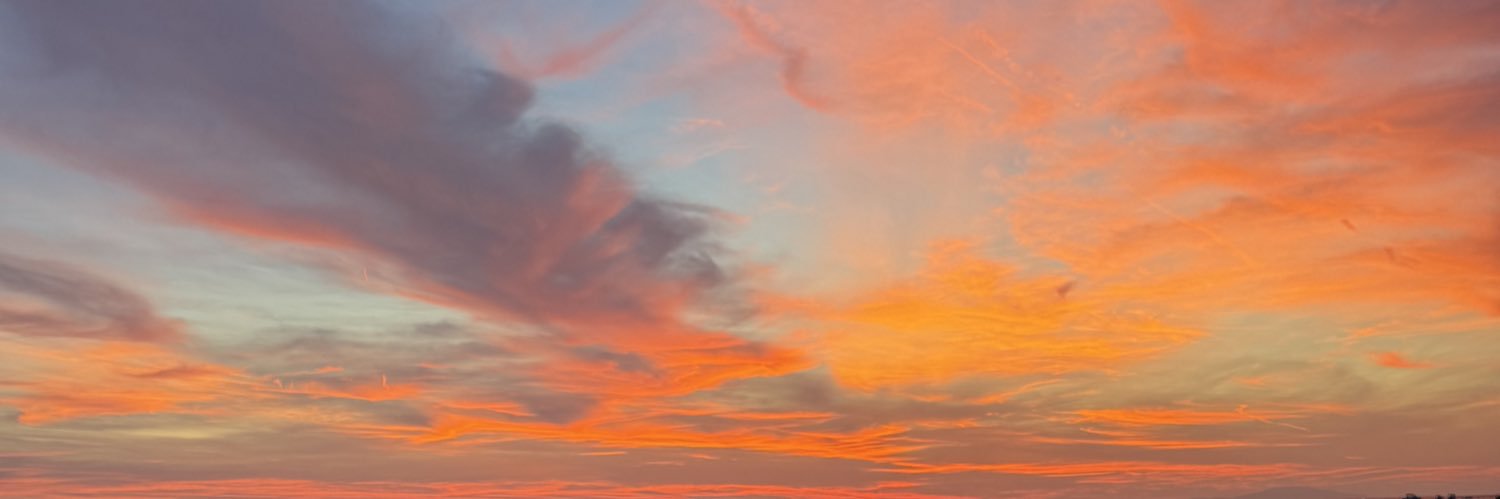 darija banner