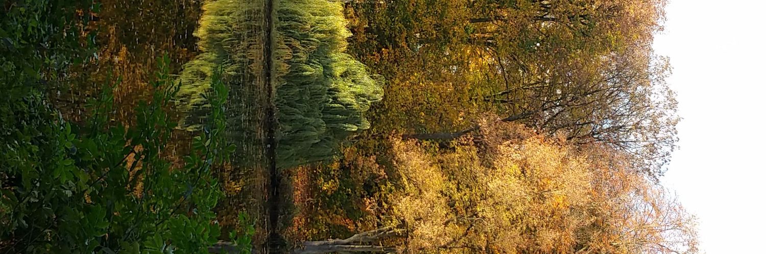 SunCaMot 📯 banner