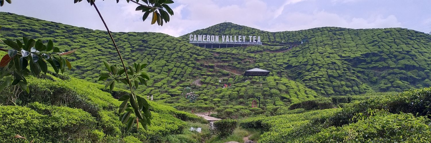 Ranjit Mohanty banner