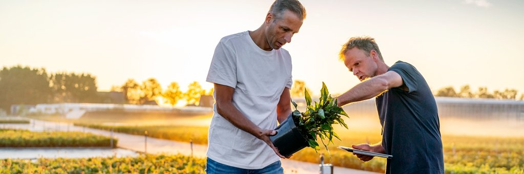 FloraHolland's profile banner image