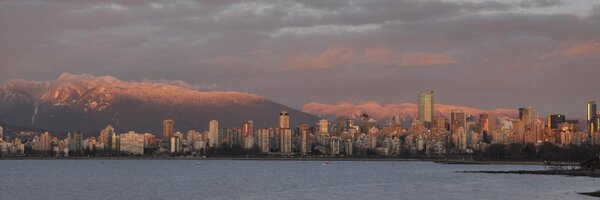 stony Profile Banner