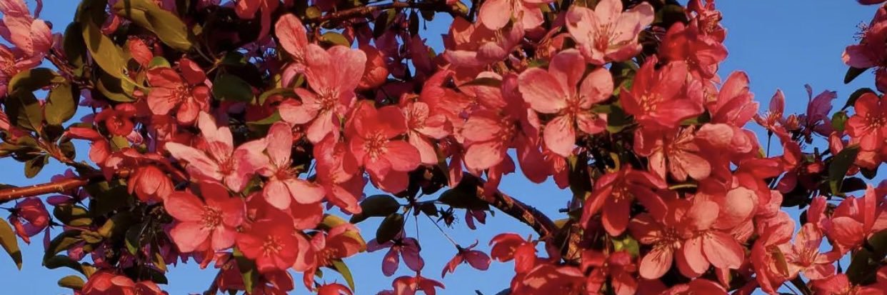 Missrealitytv1's profile banner image