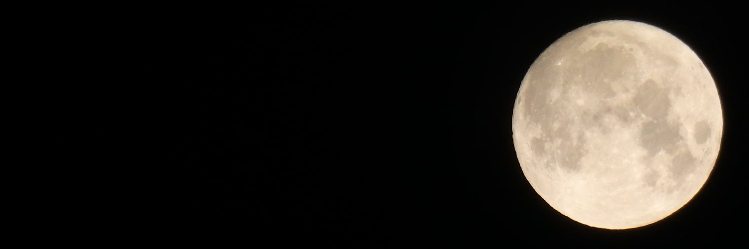 悠🍒🐶 banner