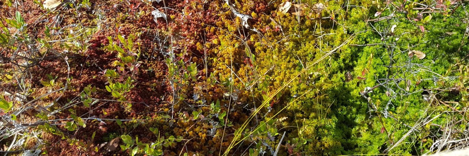 Emma Sherwood banner