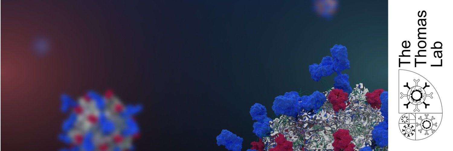 Michael R Thomas banner