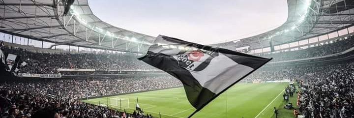 miraytemur's profile banner image