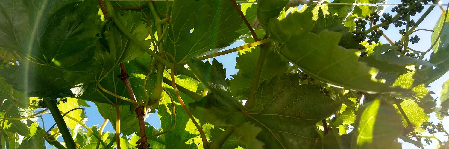 Don Marti 🐀 banner