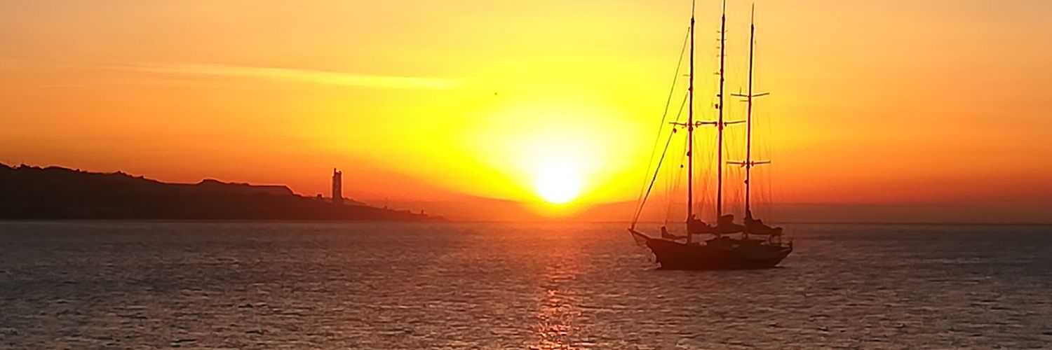 MariadelMarRodr's profile banner image