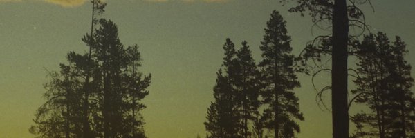 TIRYAEL Profile Banner