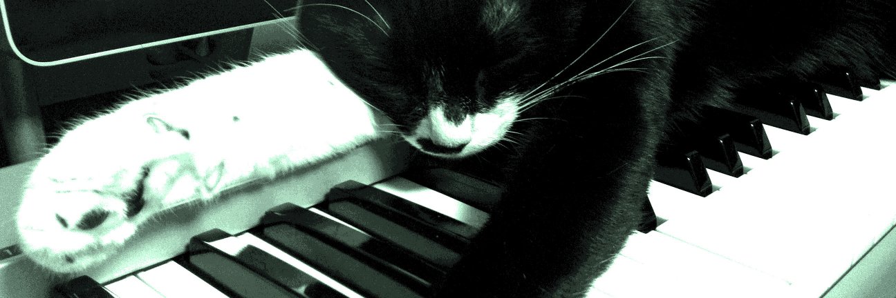 尾澤拓実［ReReGRAPHICS］🐾👀 banner