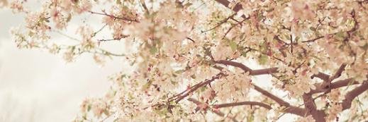 _raniaseulmi's profile banner image