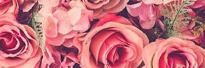 esse_faith's profile banner image