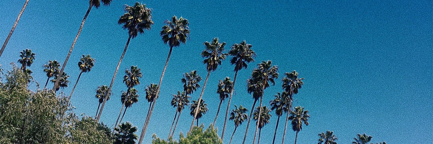 ygimani's profile banner image