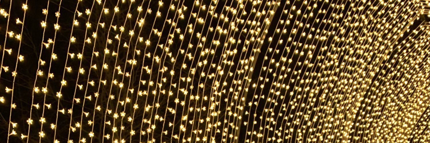 Sam Mathewlynn banner