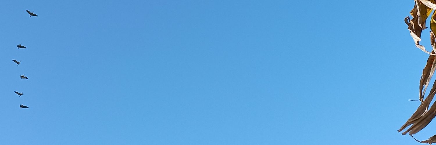 Jorge De León banner