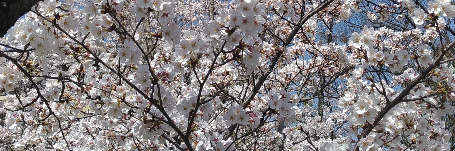 pridejoy1975's profile banner image