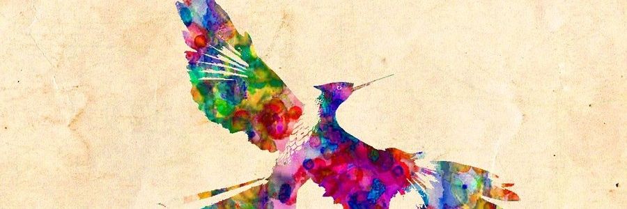 biahcouto's profile banner image