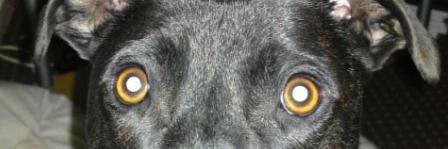 666amanda66's profile banner image