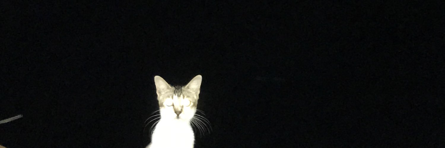 fauziaelbash's profile banner image