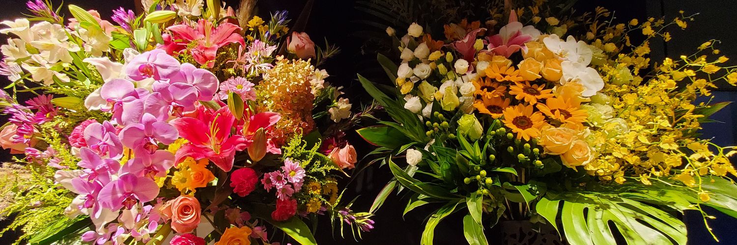 岩本和保🌻画集『ひかりのしっぽ』発売中's banner