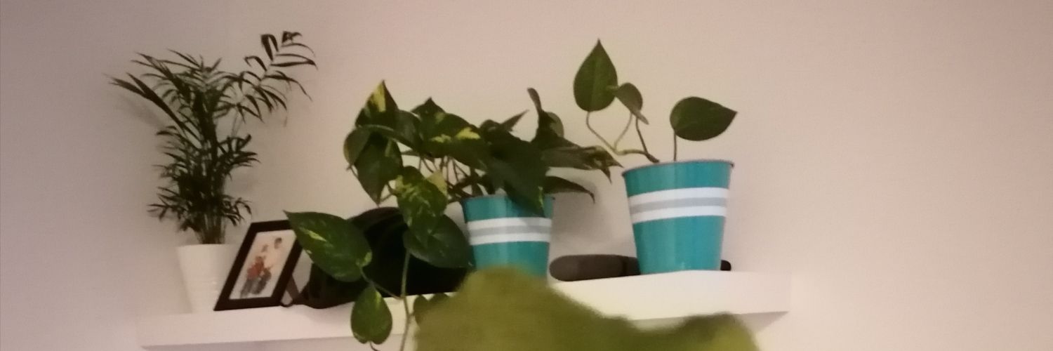 Lindelani01's profile banner image