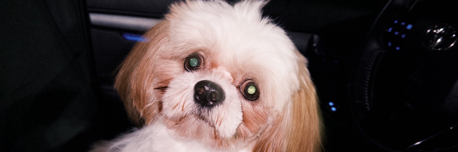 roosiee's profile banner image