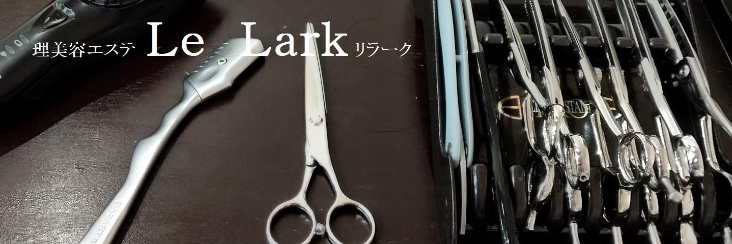 lelark1's profile banner image