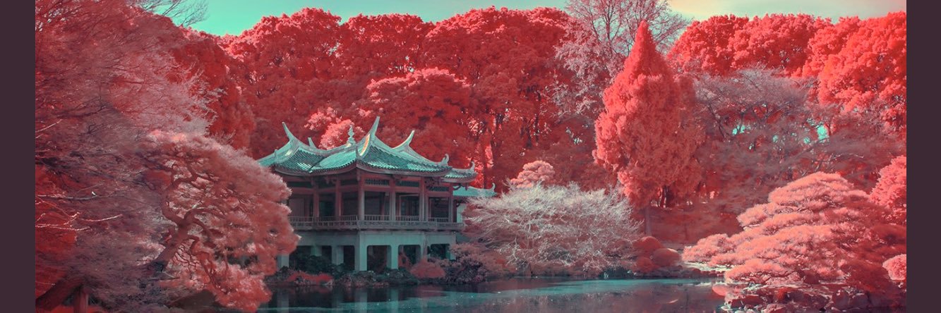Alexis_Yow's profile banner image
