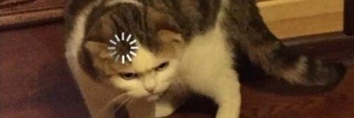 Val 🌼 banner