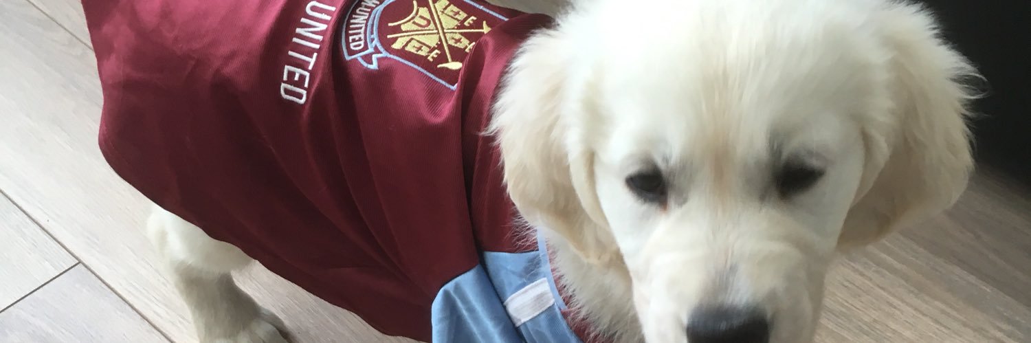 SamMayoss's profile banner image