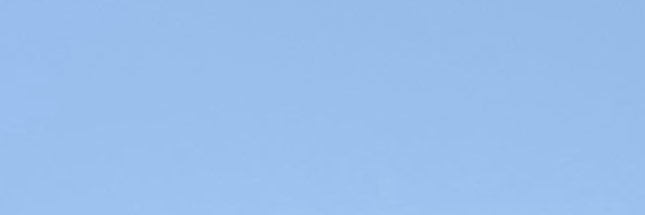 350Taiga's profile banner image