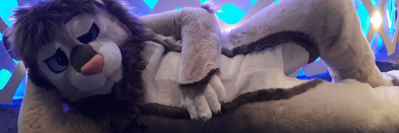 NickoliLion's profile banner image