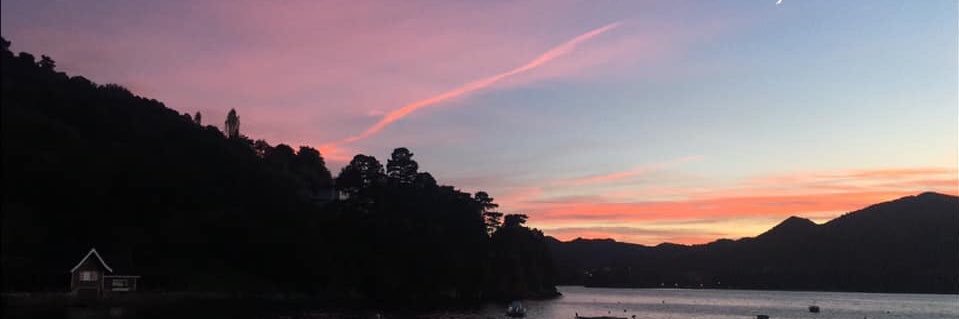 firandrea's profile banner image