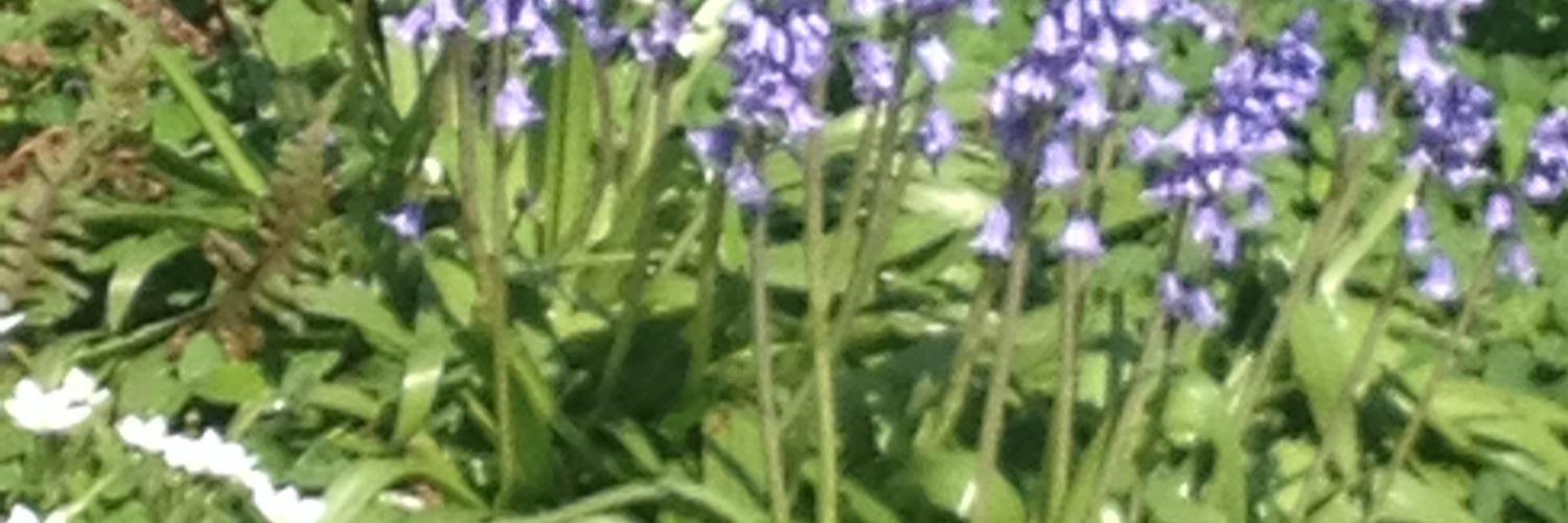 gerydeboer's profile banner image