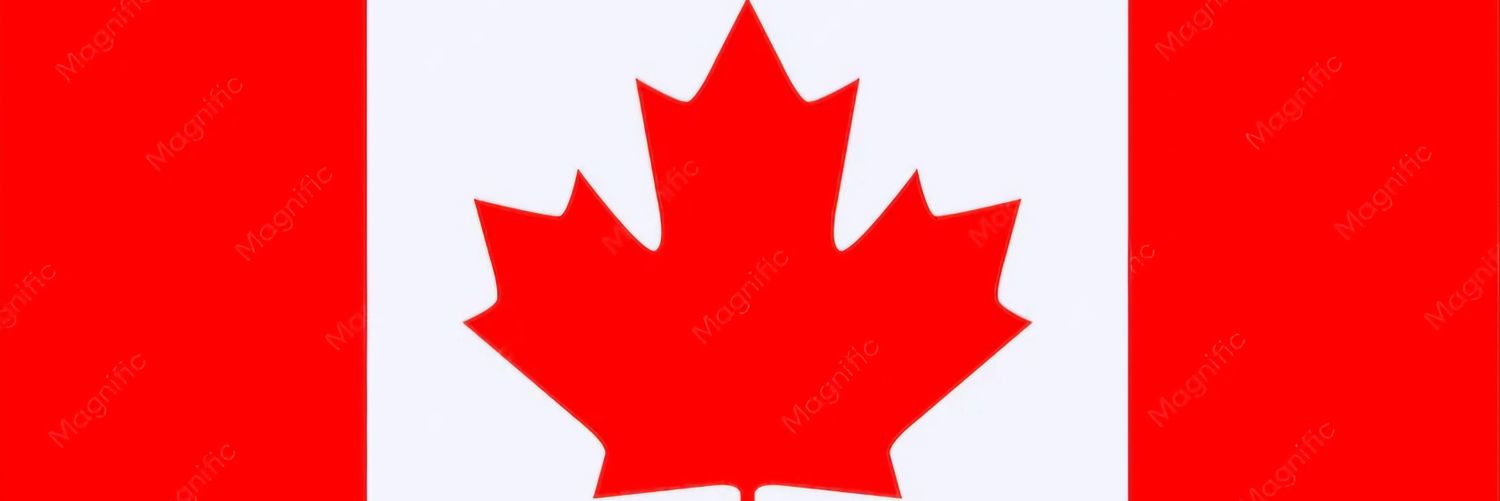 TerryMacDougall's profile banner image