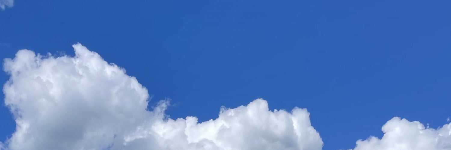 ReettaLI's profile banner image