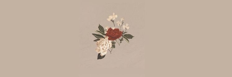 aamynpmn's profile banner image
