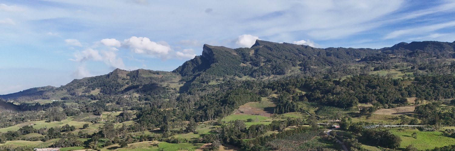 daniel melo banner