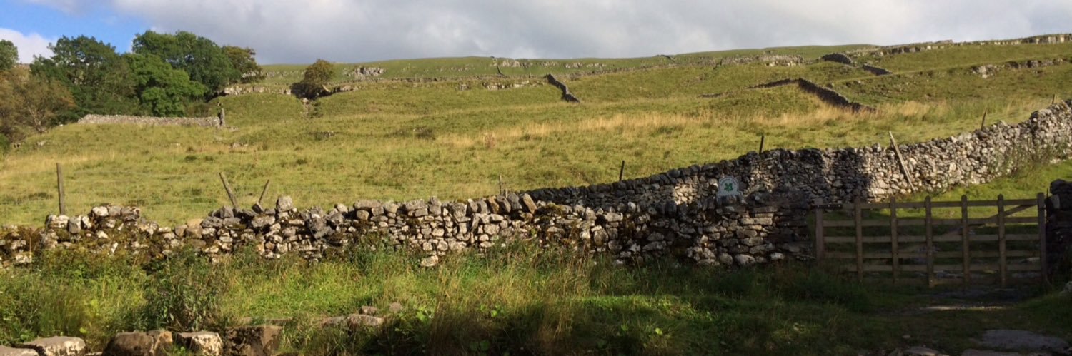 CornishTAF's profile banner image
