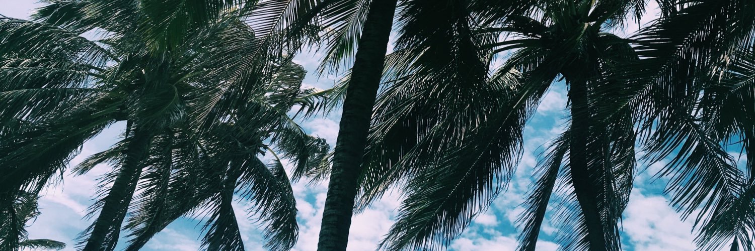darariveros's profile banner image