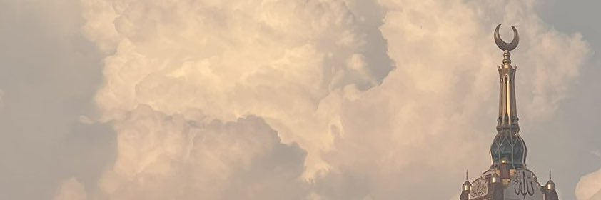 R A Y Y A N A °❀⋆.ೃ࿔*:･ banner