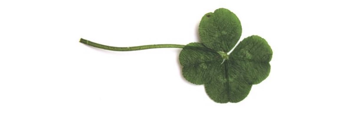 lemonjellyfish？ banner