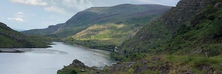 mcolmur's profile banner image