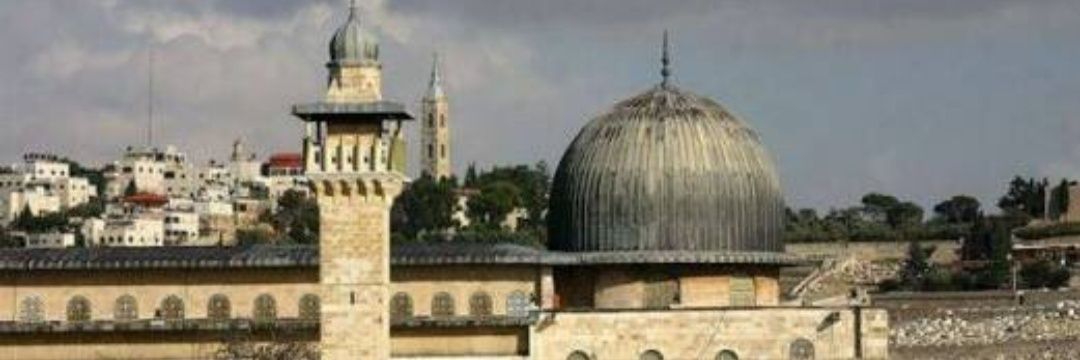 Şahin Bitiş banner