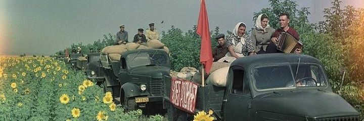 ozadanselam's profile banner image