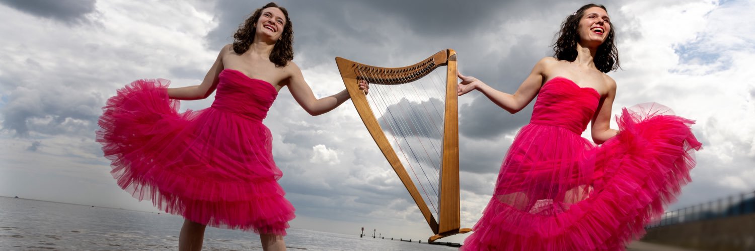 2 of Harps banner
